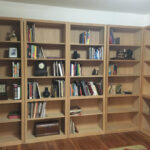 Almost Empty Bookshelf